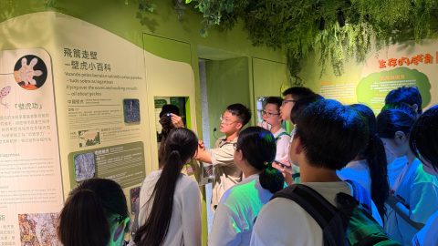 高一丙石排灣生態全接觸